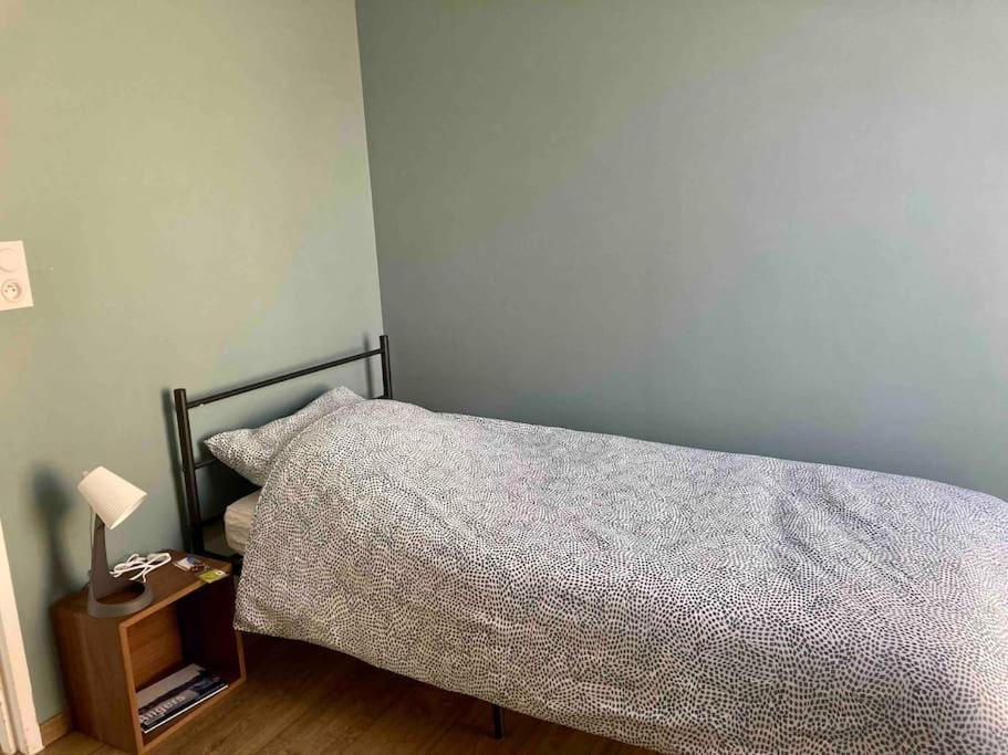 Quai Sud - Gare, 100 M2, Parking, Wifi, Superette, Lave Linge Daire Angers Dış mekan fotoğraf